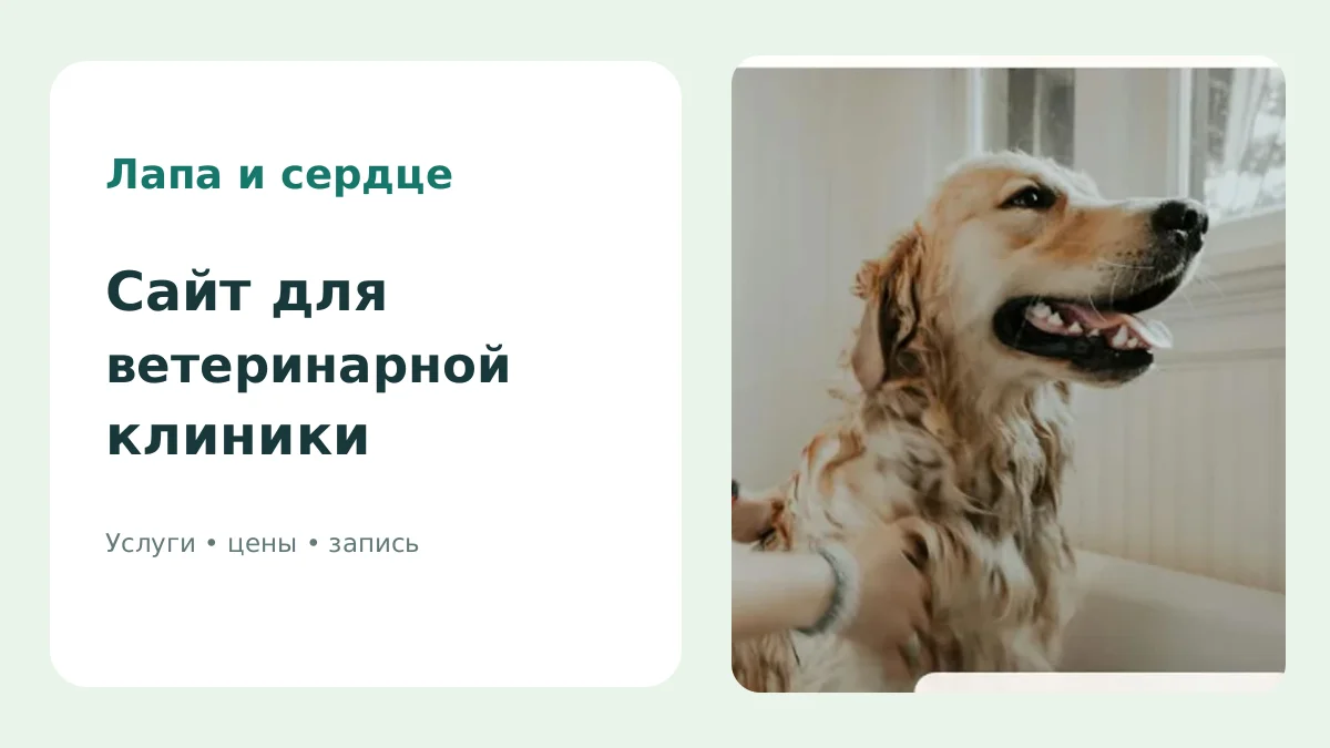 Пример оформления сайта ветеринарной клиники с фотографией собаки